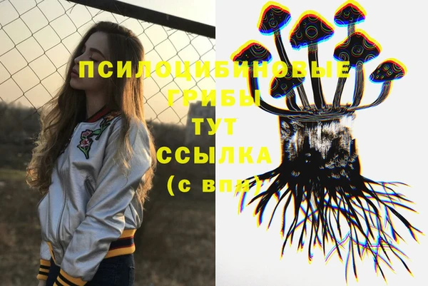 прущий лед Абаза