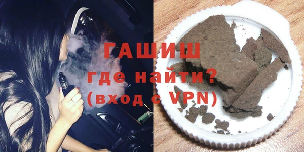 гашик Алексин