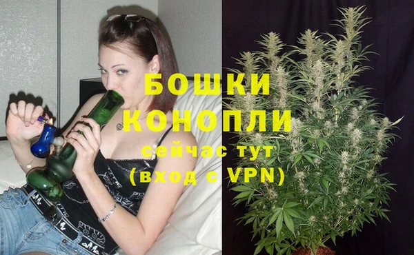 гидра Абдулино