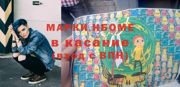 гашик Алексин